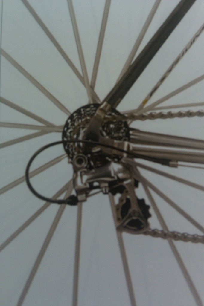 brochure cover - rear end of bike