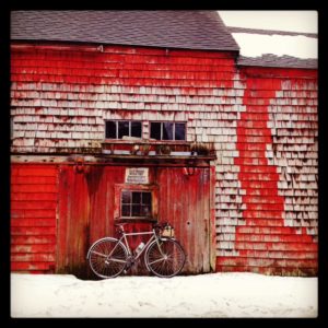 Sven in front of a bright red barn in winter