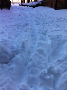 Snow trail forged by bicycle