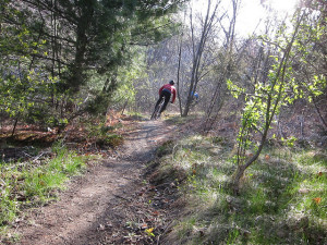 flying up some singletrack