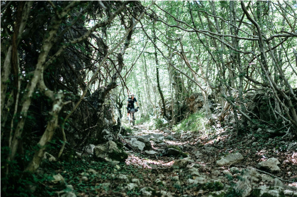 a cyclist descends a technical trail in some seriously gnarly woods