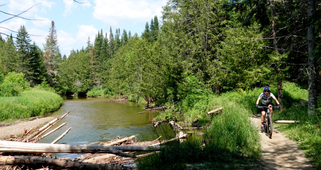 A cyclist on her Mobius SL rides alongside a woodland river