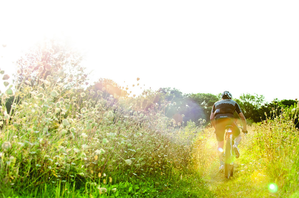 mountain biker in a field