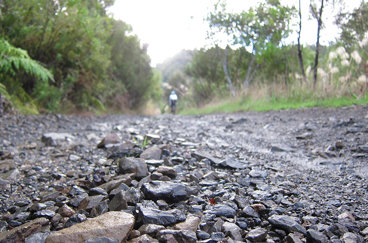 a gravel path in New Zealand