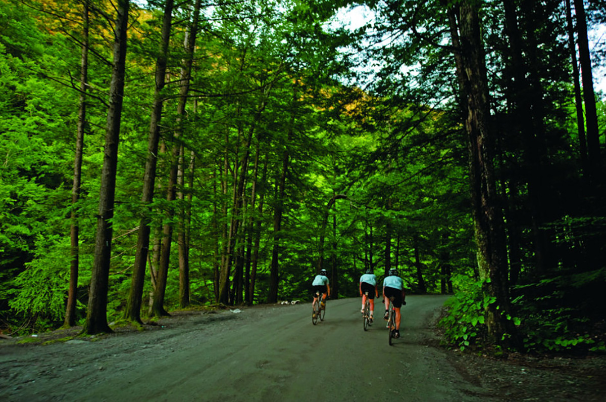 three fast cyclist on a paved forest road