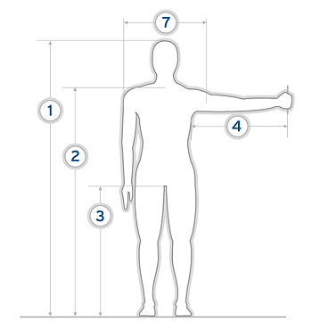 graphical representation of measurements of a figure