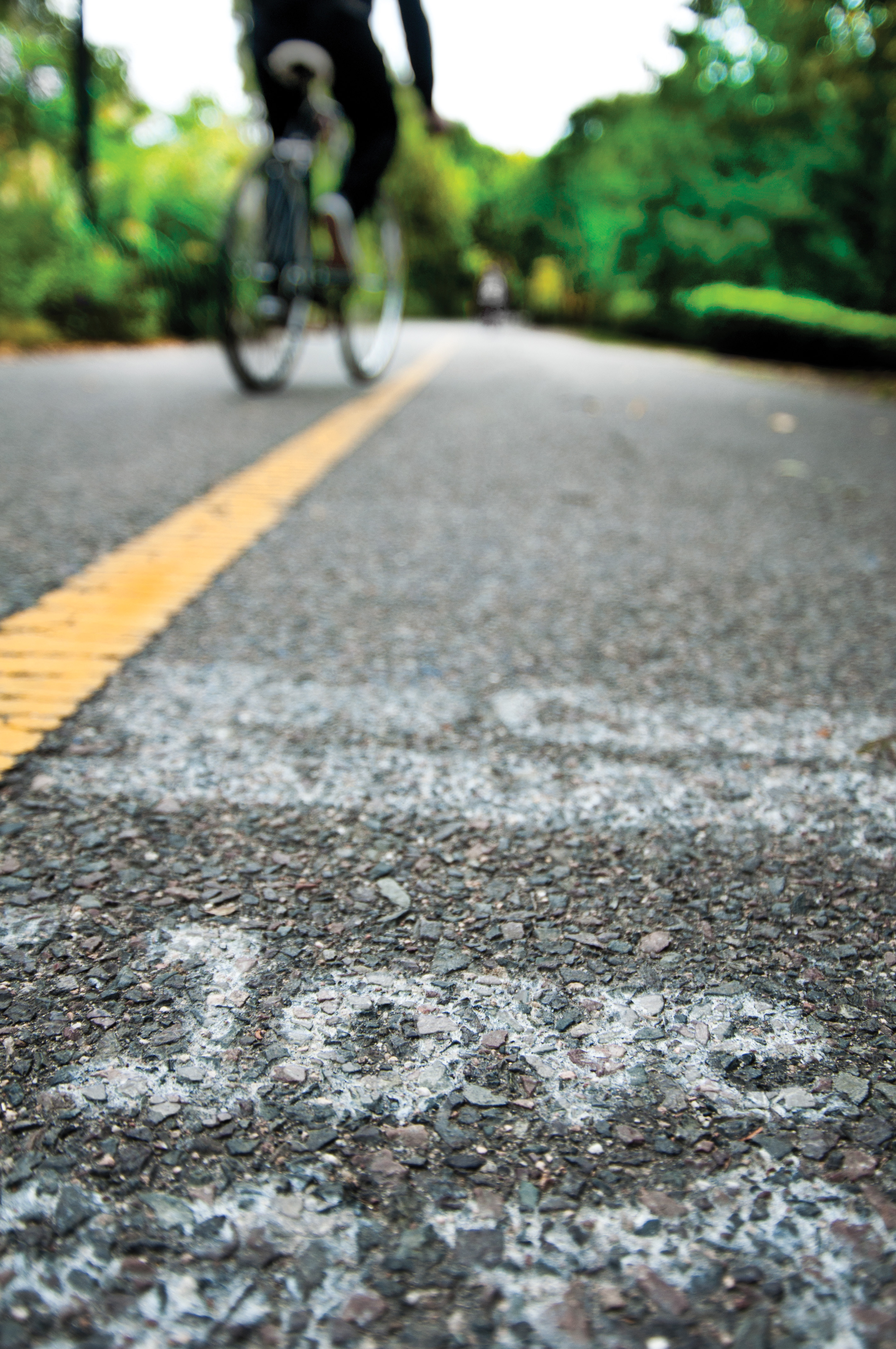 the word 'love', amongst other words that are cropped from the image, are painted on an actively used bike path on a nice summer day