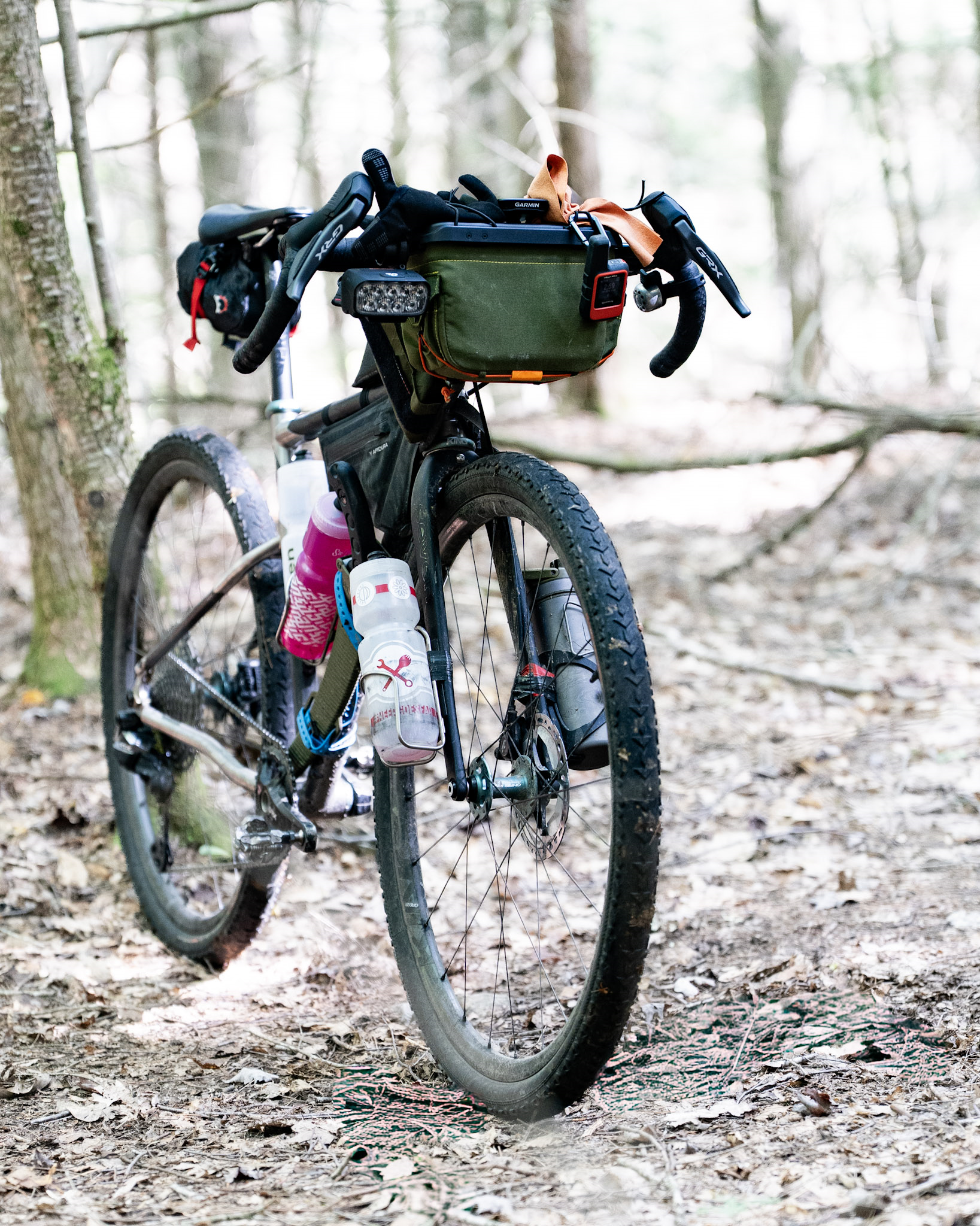 Seven Evergreen Outland Scout