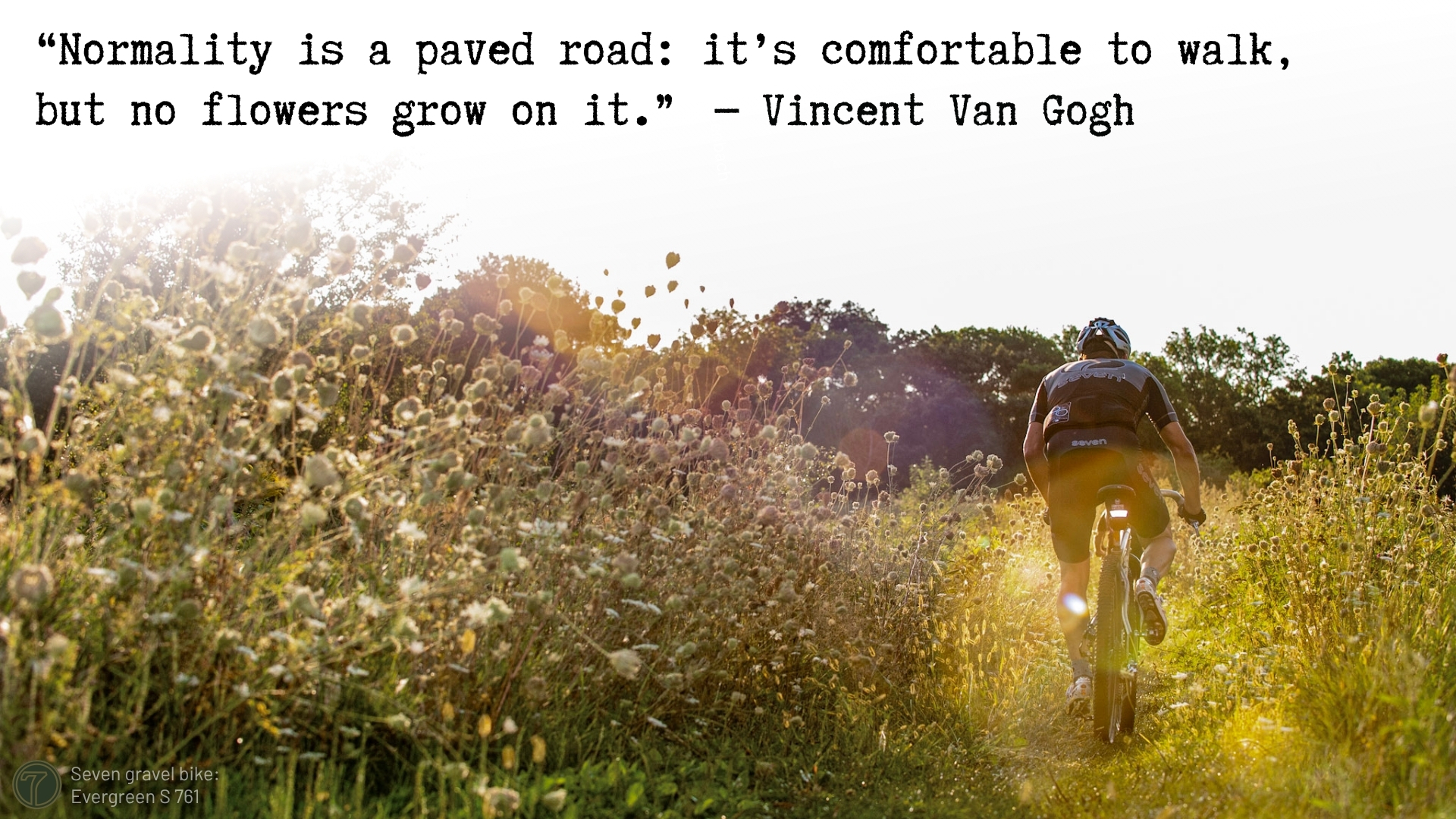 gravel bike