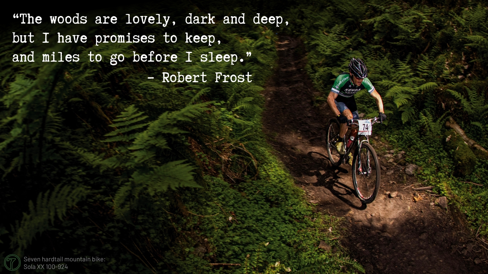 mountain bike