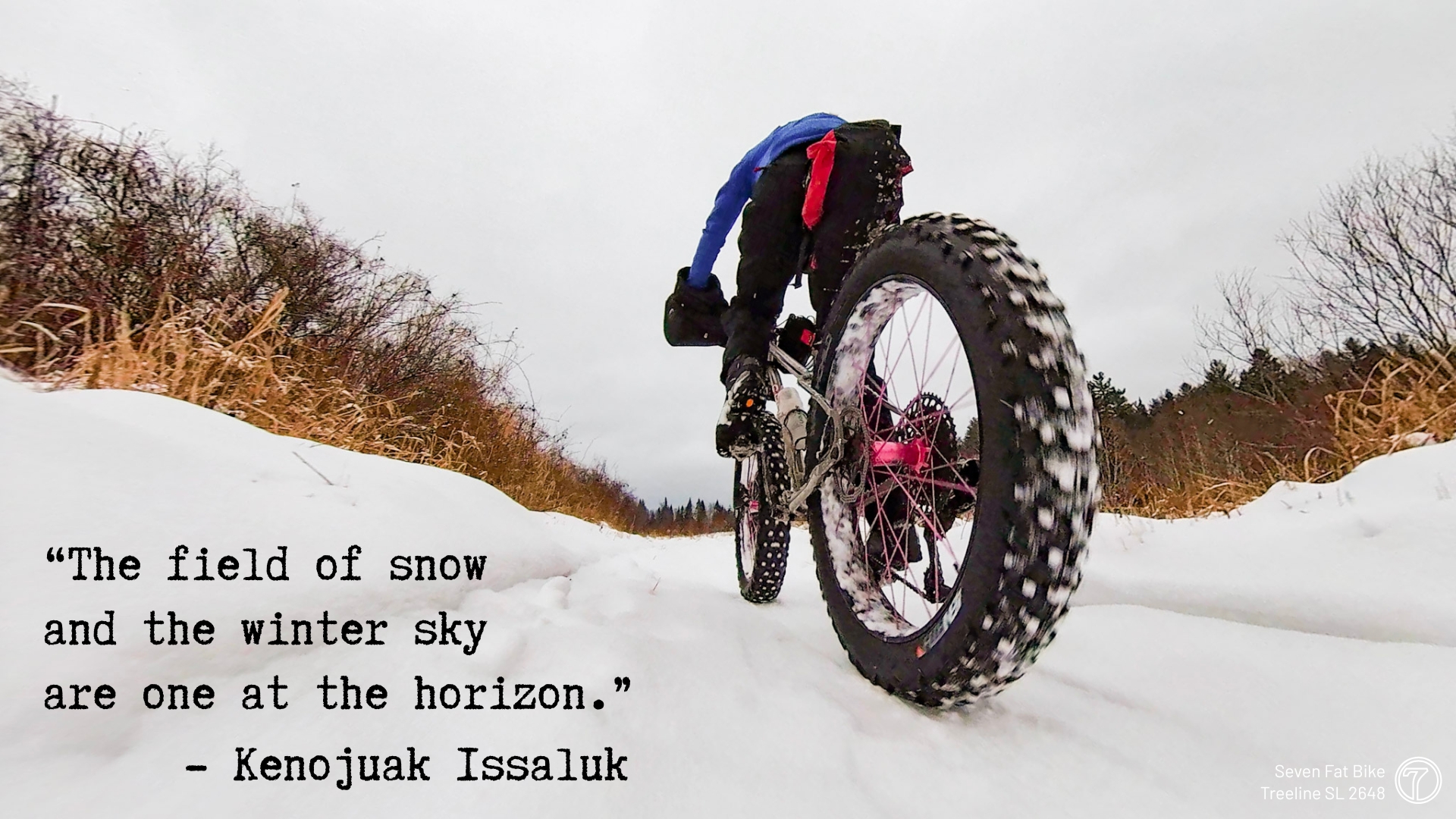 fat biking in the snow