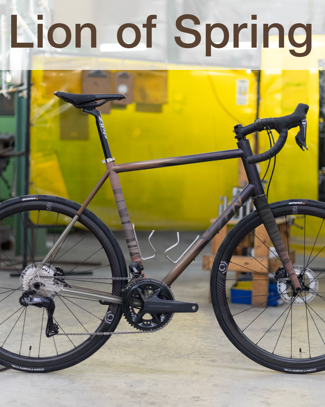 lion-of-spring-bronze-mane