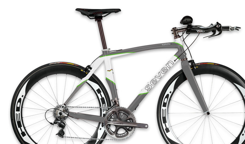 titanium triathlon bike